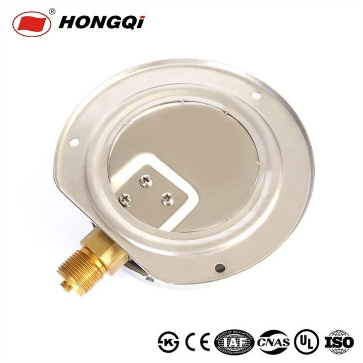 Liquid Filled Bottom Pressure Gauge Dial 2.5